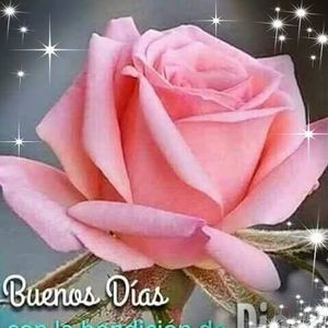 Meet your Posher, Estrella